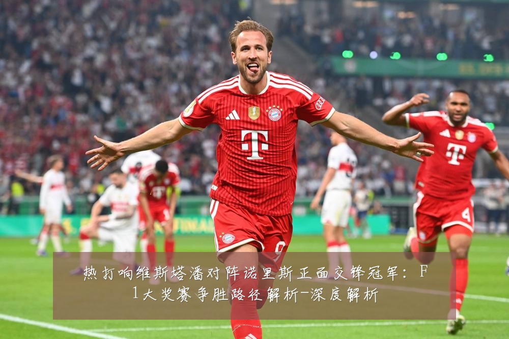 热打响维斯塔潘对阵诺里斯正面交锋冠军:F1大奖赛争胜路径解析-深度解析