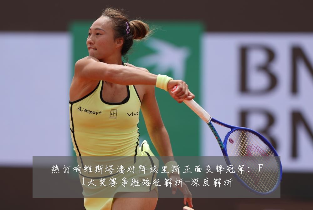 热打响维斯塔潘对阵诺里斯正面交锋冠军:F1大奖赛争胜路径解析-深度解析